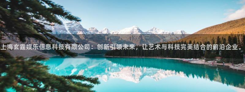 美狮贵宾会pg电子游戏在线玩：上海玄霆娱乐信息科技有限公司：创新引领未来，让艺术与科技完美结合的前沿企业。