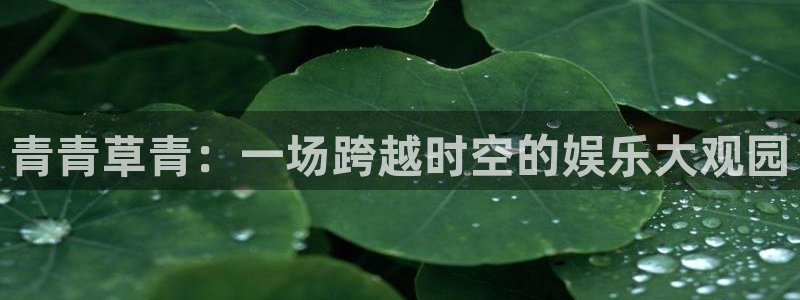 美狮贵宾会注册官网入口：青青草青：一场跨越时空的娱乐大观园