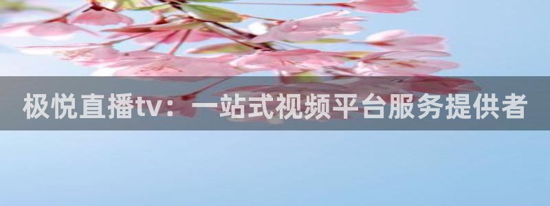 壹号电子娱乐app：极悦直播tv：一站式视频平台服务提供者