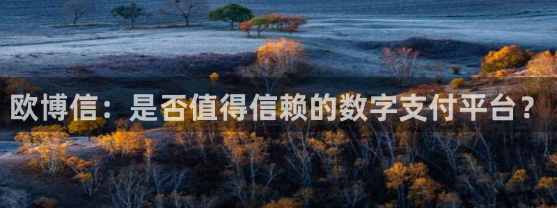 美狮贵宾会登录网：欧博信：是否值得信赖的数字支付平台？