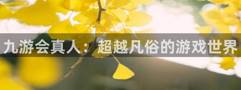 美狮贵宾会注册网站链接：九游会真人：超越凡俗的游戏世界