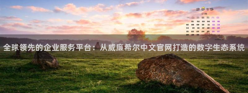 美狮贵宾会官方app下载安装：全球领先的企业服务平台：从威廉希尔中文官网打造的数字生态系统