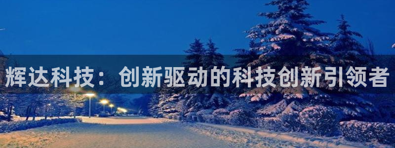 美狮贵宾会com：辉达科技：创新驱动的科技创新引领者