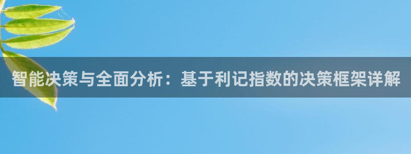 美狮贵宾会电子游戏网页版：智能决策与全面分析：基于利记指数的决策框架详解