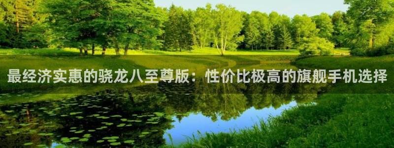 壹号电子娱乐app：最经济实惠的骁龙八至尊版：性价比极高的旗舰手机选择
