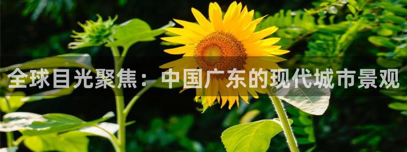 美狮贵宾会app官网下载：全球目光聚焦：中国广东的现代城市景观