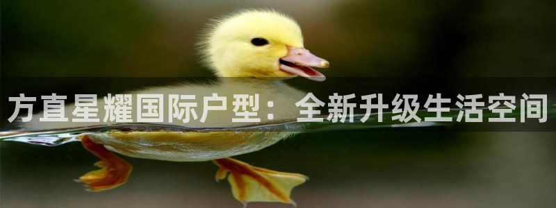 美狮贵宾会平台官网登录入口：方直星耀国际户型：全新升级生活空间