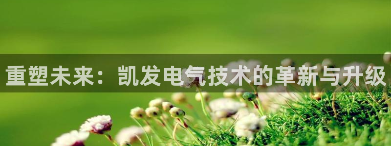 美狮贵宾会电子游戏网页版：重塑未来：凯发电气技术的革新与升级