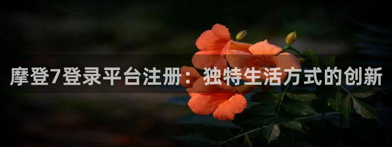 壹号电子娱乐app下载最新版本安装：摩登7登录平台注册：独特生活方式的创新