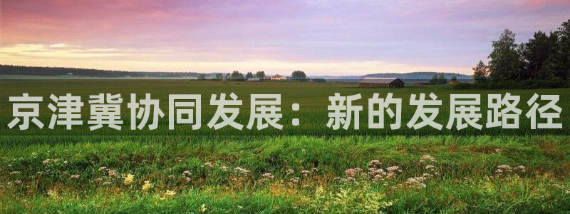 美狮贵宾会官网入口：京津冀协同发展：新的发展路径