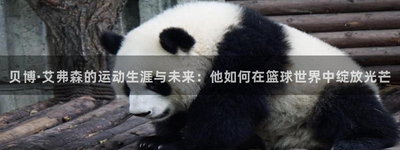 美狮贵宾会下载链接是多少：贝博·艾弗森的运动生涯与未来：他如何在篮球世界中绽放光芒