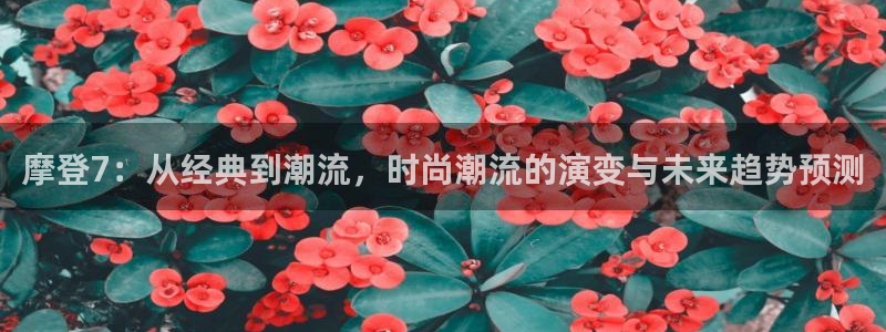 壹号大舞台28国际大舞台：摩登7：从经典到潮流，时尚潮流的演变与未来趋势预测