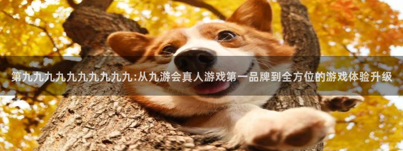 美狮贵宾会那个爆率高：第九九九九九九九九九九:从九游会真人游戏第一品牌到全方位的游戏体验升级