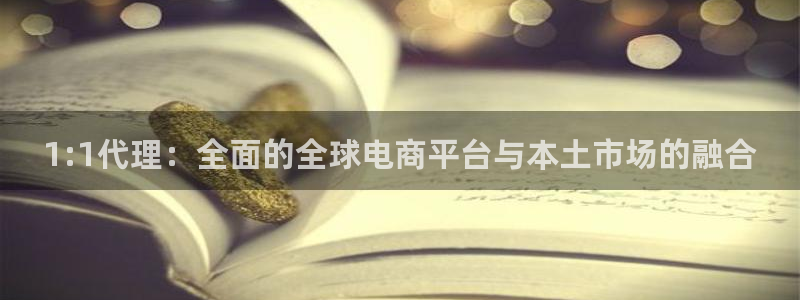 美狮贵宾会网站：1:1代理：全面的全球电商平台与本土市场的融合