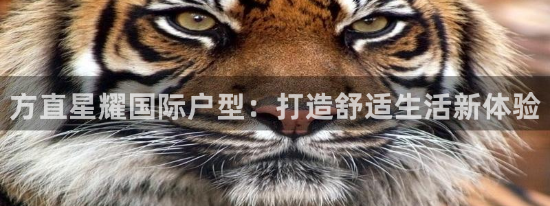 壹号电子娱乐app：方直星耀国际户型：打造舒适生活新体验