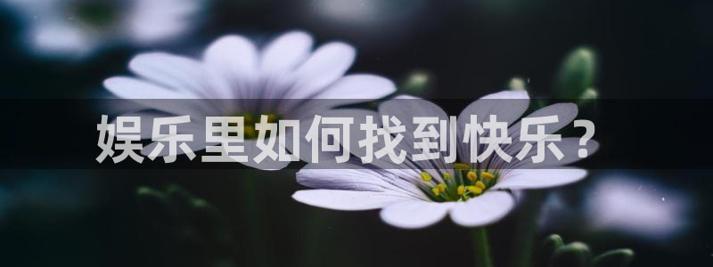 美狮贵宾会网页登录：娱乐里如何找到快乐？