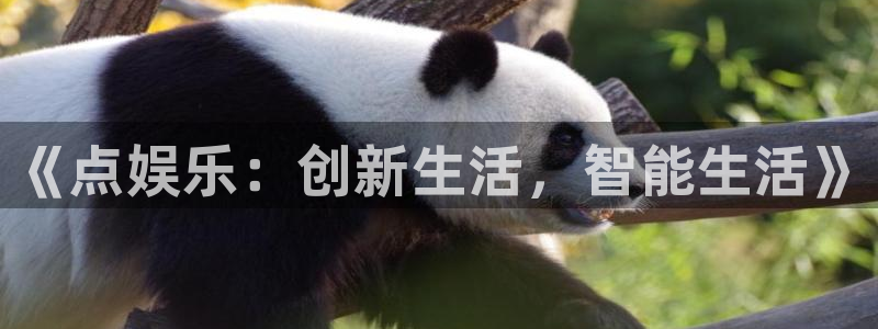 壹号app下载苹果：《点娱乐：创新生活，智能生活》
