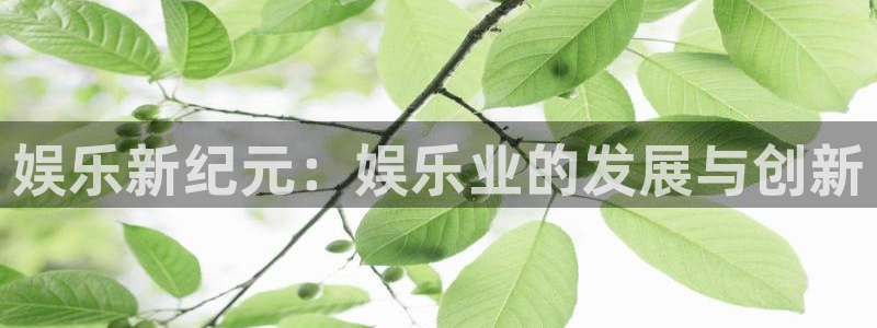 美狮贵宾会路线1：娱乐新纪元：娱乐业的发展与创新