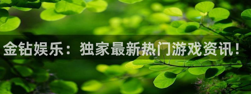 美狮贵宾