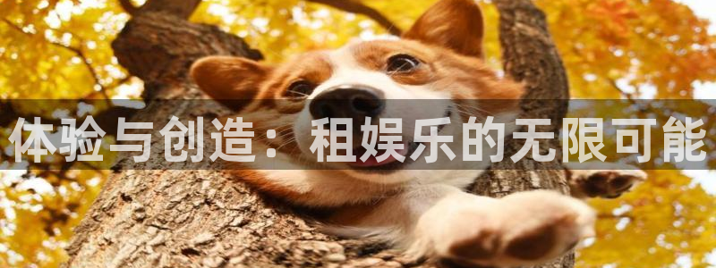 美狮贵宾会平台注册