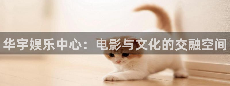 美狮贵宾会网站：华宇娱乐中心：电影与文化的交融空间
