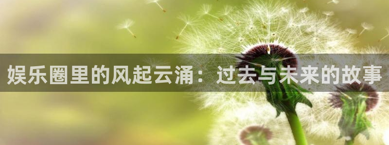 美狮贵宾会是赌博吗：娱乐圈里的风起云涌：过去与未来的故事