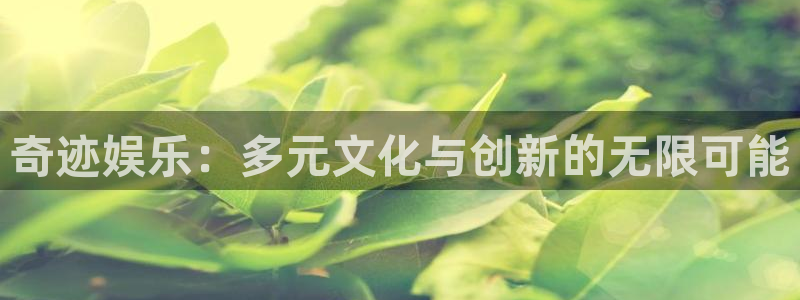 壹号大舞台怎么注册：奇迹娱乐：多元文化与创新的无限可能