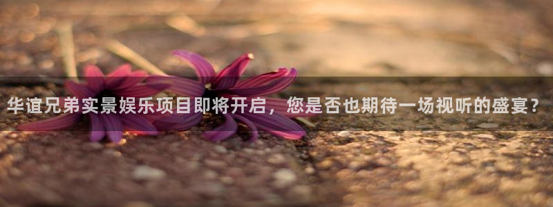 美狮贵宾会游戏官网入口：华谊兄弟实景娱乐项目即将开启，您是否也期待一场视听的盛宴？