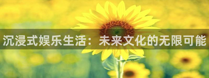 壹号大舞台官网：沉浸式娱乐生活：未来文化的无限可能