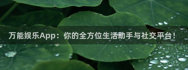 美狮贵宾会注册网站app：万能娱乐App：你的全方位生活助手与社交平台！