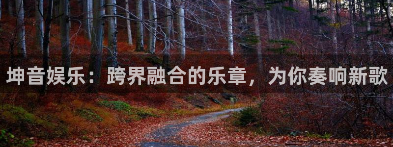 美狮贵宾会注册：坤音娱乐：跨界融合的乐章，为你奏响新歌