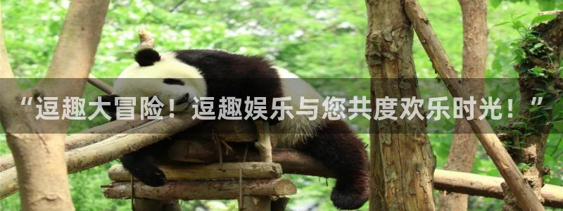 美狮贵宾会注册入口与教程：“逗趣大冒险！逗趣娱乐与您共度欢乐时光！”