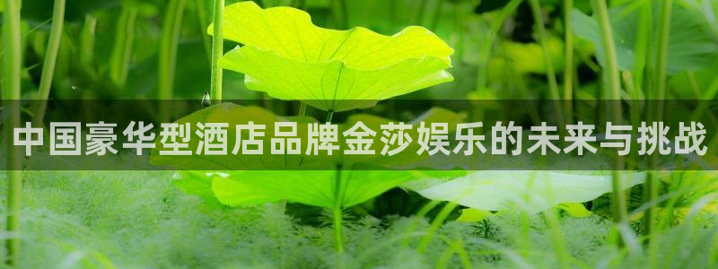 美狮贵宾会ccm麻将胡了：中国豪华型酒店品牌金莎娱乐的未来与挑战