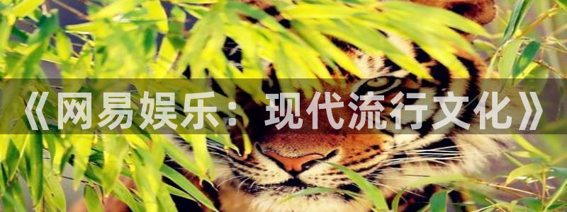 壹号国际app免费下载安装：《网易娱乐：现代流行文化》