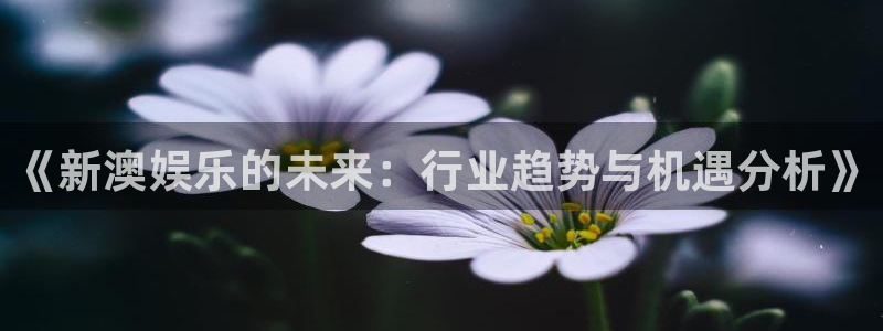 美狮贵宾会平台最新版本下载：《新澳娱乐的未来：行业趋势与机遇分析》