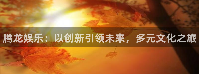 壹号平台app下载安装：腾龙娱乐：以创新引领未来，多元文化之旅