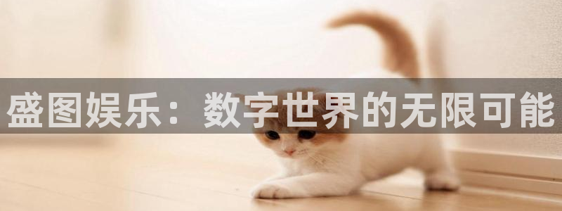 壹号平台下载：盛图娱乐：数字世界的无限可能