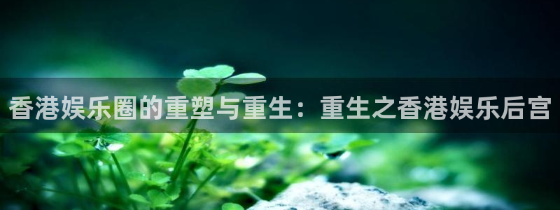 壹号官方app下载安装：香港娱乐圈的重塑与重生：重生之香港娱乐后宫