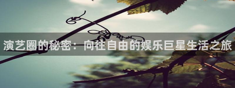 南宫美狮贵宾会官网版：演艺圈的秘密：向往自由的娱乐巨星生活之旅