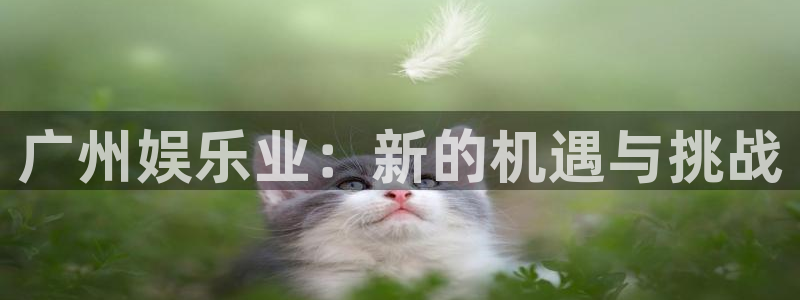 壹号电子娱乐app下载：广州娱乐业：新的机遇与挑战