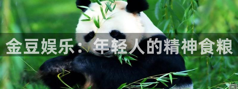 美狮贵宾会app官网下载：金豆娱乐：年轻人的精神食粮