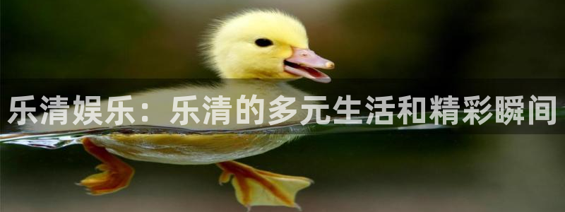 美狮贵宾会链接：乐清娱乐：乐清的多元生活和精彩瞬间